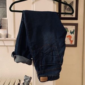 Blue Mid Rise Skinny Jeans